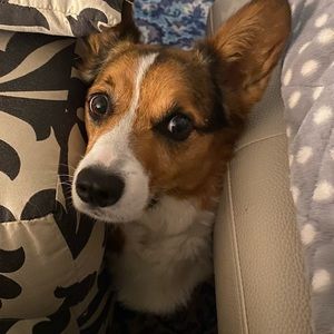 Meet your Posher, Vicky